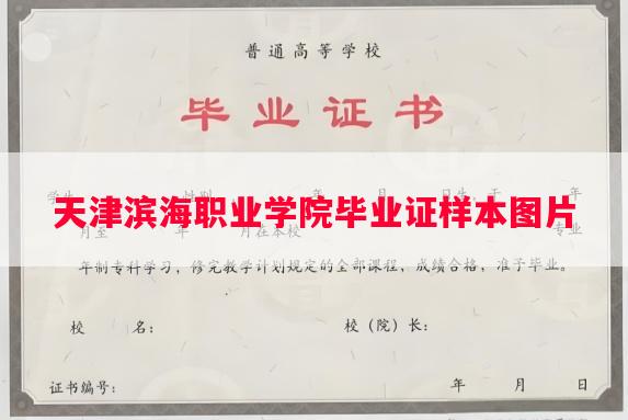 天津滨海职业学院毕业证样本图片