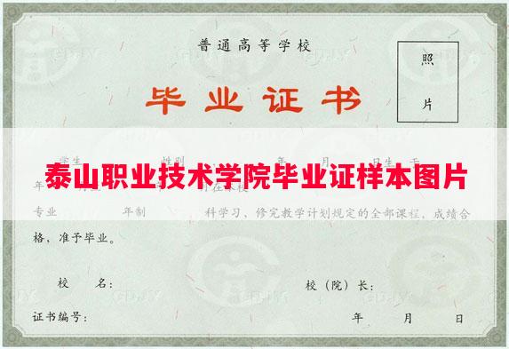 泰山职业技术学院毕业证样本图片