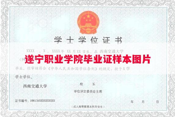 遂宁职业学院毕业证样本图片