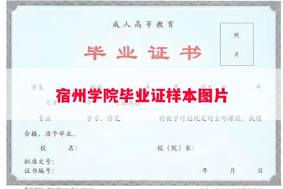 宿州学院毕业证样本图片