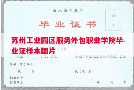 苏州工业园区服务外包职业学院毕业证样本图片