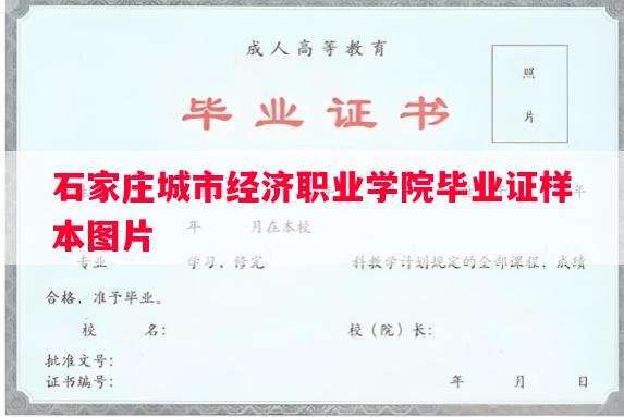 石家庄城市经济职业学院毕业证样本图片