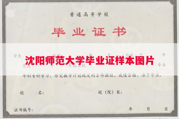 沈阳师范大学毕业证样本图片