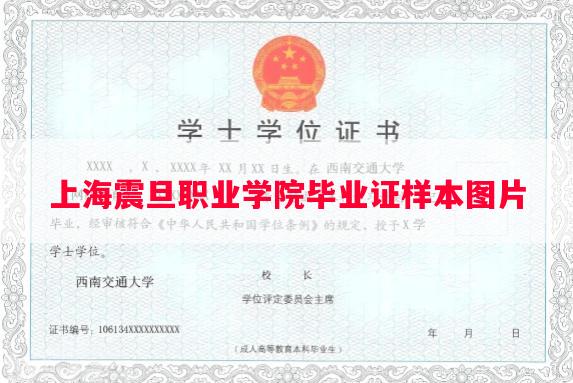 上海震旦职业学院毕业证样本图片