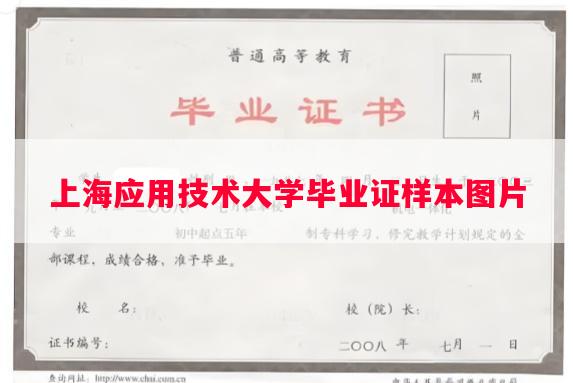 上海应用技术大学毕业证样本图片