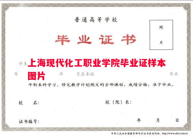 上海现代化工职业学院毕业证样本图片