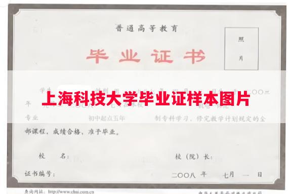 上海科技大学毕业证样本图片