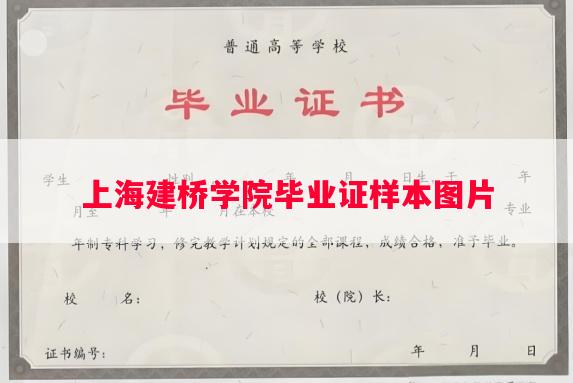 上海建桥学院毕业证样本图片