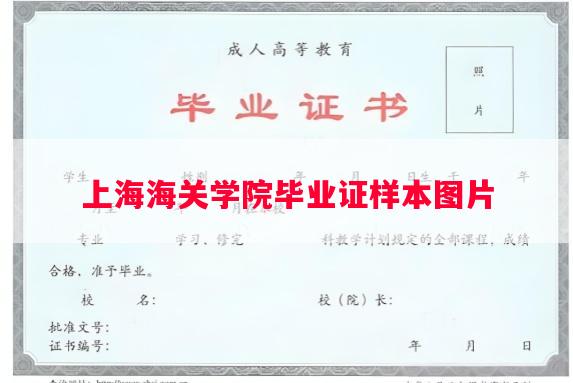上海海关学院毕业证样本图片