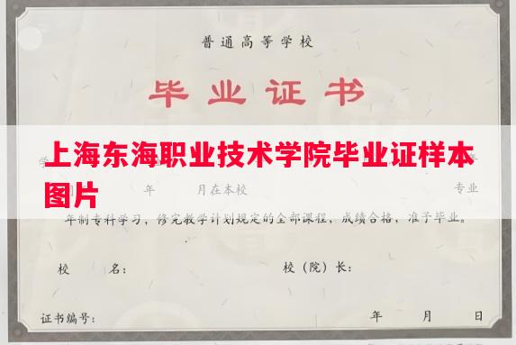 上海东海职业技术学院毕业证样本图片