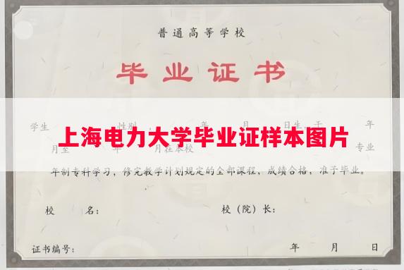 上海电力大学毕业证样本图片