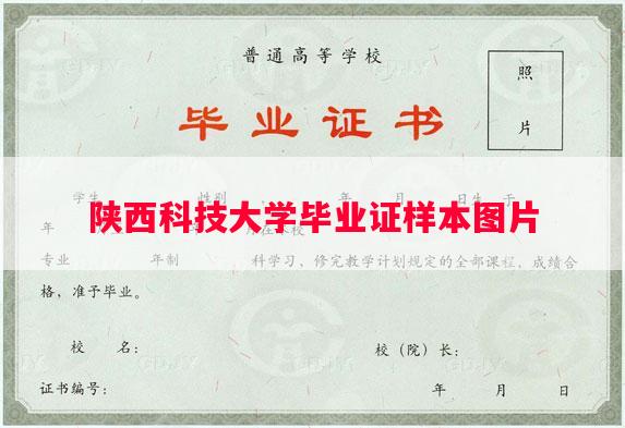陕西科技大学毕业证样本图片