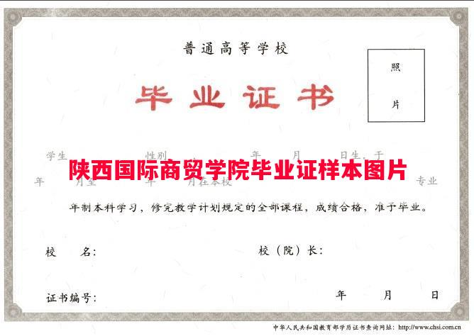 陕西国际商贸学院毕业证样本图片