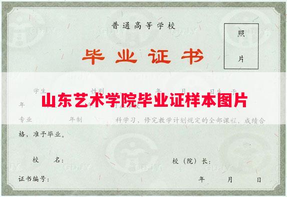 山东艺术学院毕业证样本图片