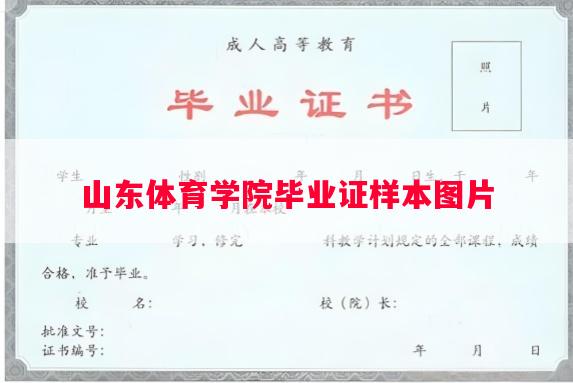 山东体育学院毕业证样本图片