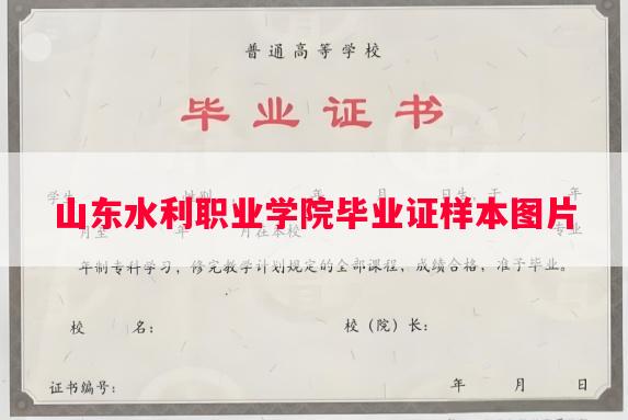 山东水利职业学院毕业证样本图片