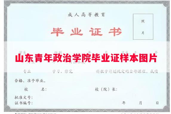 山东青年政治学院毕业证样本图片