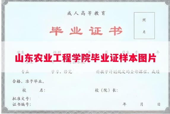 山东农业工程学院毕业证样本图片