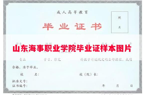 山东海事职业学院毕业证样本图片