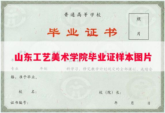 山东工艺美术学院毕业证样本图片