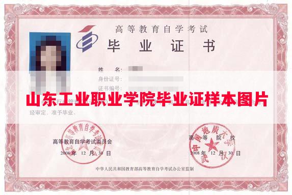 山东工业职业学院毕业证样本图片