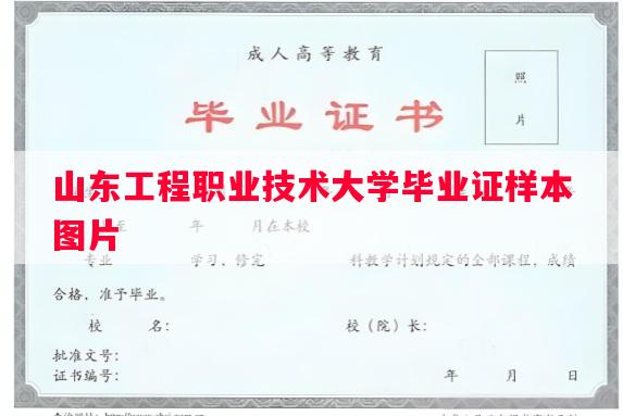 山东工程职业技术大学毕业证样本图片