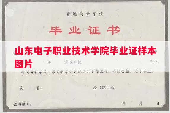 山东电子职业技术学院毕业证样本图片