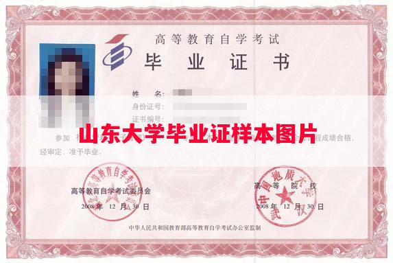 山东大学毕业证样本图片