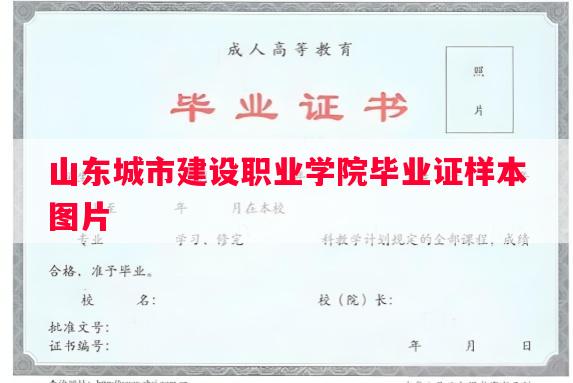 山东城市建设职业学院毕业证样本图片