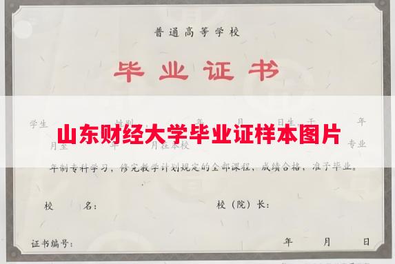 山东财经大学毕业证样本图片