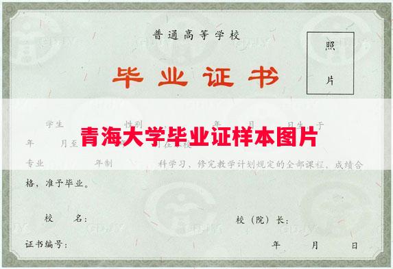 青海大学毕业证样本图片