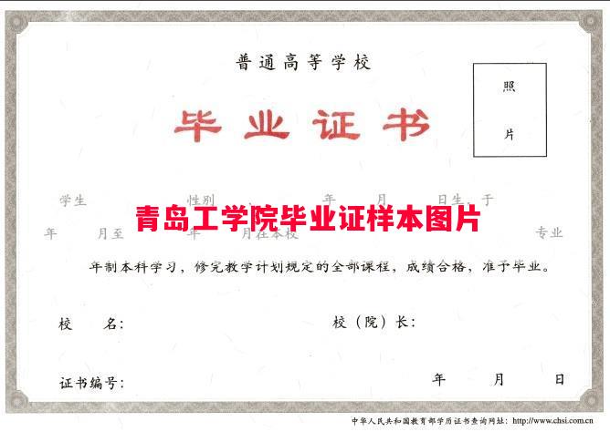 青岛工学院毕业证样本图片