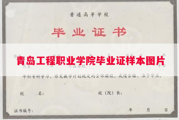 青岛工程职业学院毕业证样本图片