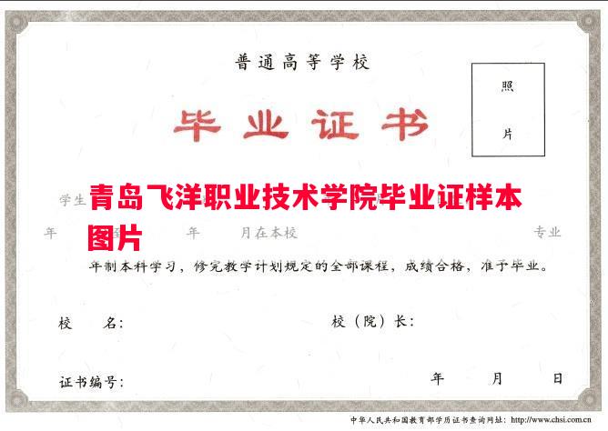 青岛飞洋职业技术学院毕业证样本图片