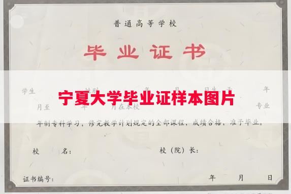 宁夏大学毕业证样本图片