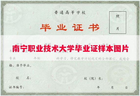 南宁职业技术大学毕业证样本图片