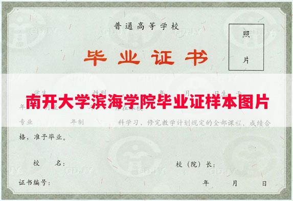 南开大学滨海学院毕业证样本图片