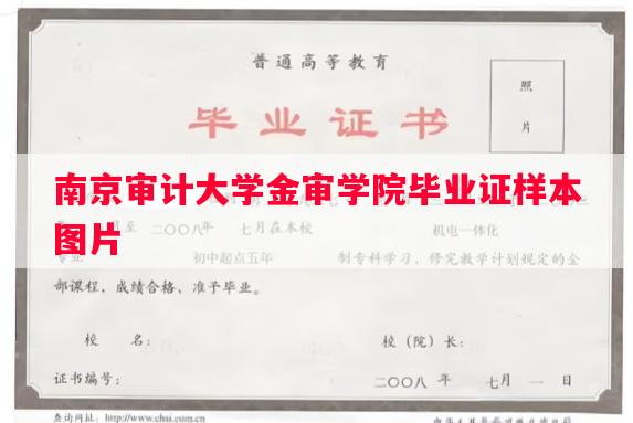 南京审计大学金审学院毕业证样本图片