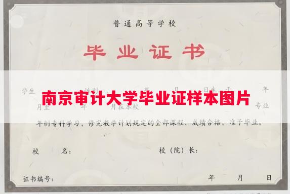 南京审计大学毕业证样本图片