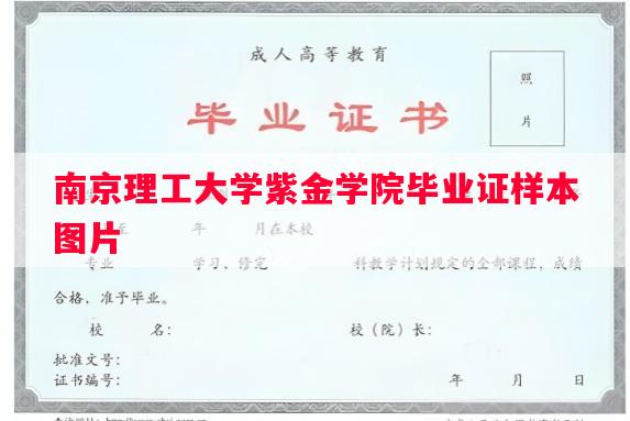 南京理工大学紫金学院毕业证样本图片