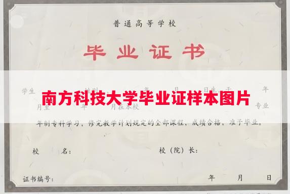 南方科技大学毕业证样本图片