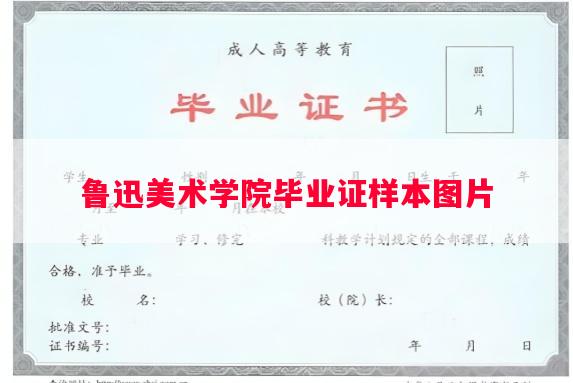 鲁迅美术学院毕业证样本图片