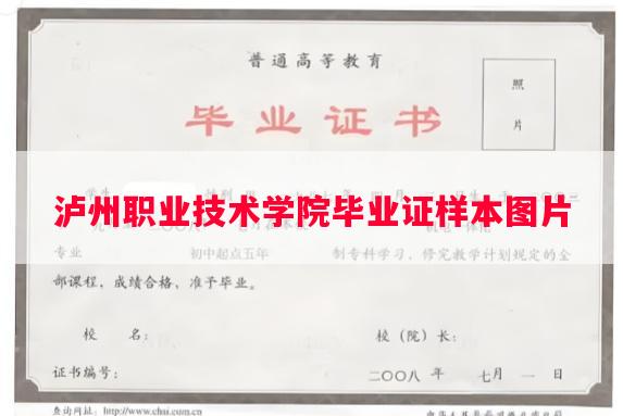 泸州职业技术学院毕业证样本图片