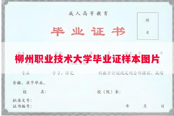 柳州职业技术大学毕业证样本图片