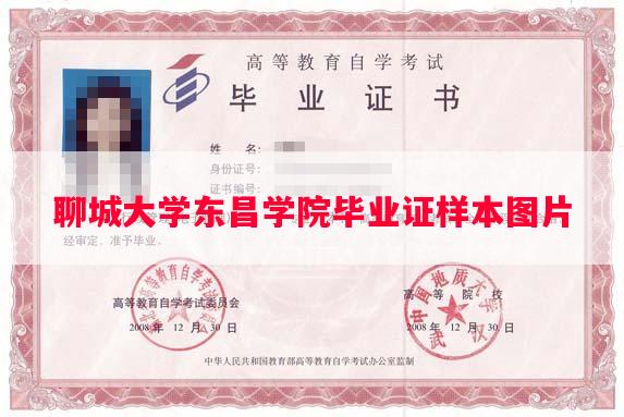聊城大学东昌学院毕业证样本图片