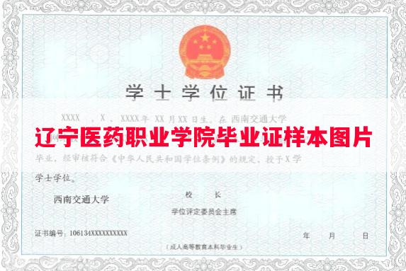 辽宁医药职业学院毕业证样本图片