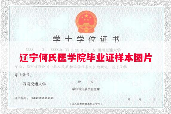 辽宁何氏医学院毕业证样本图片