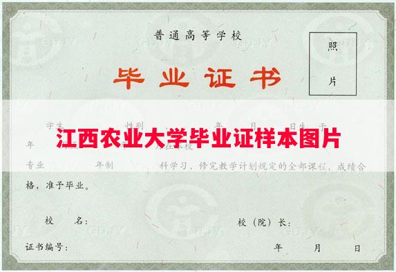 江西农业大学毕业证样本图片