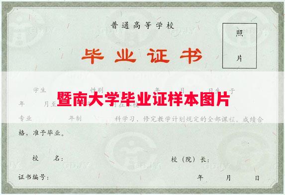 暨南大学毕业证样本图片