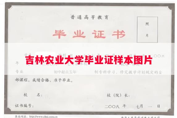 吉林农业大学毕业证样本图片
